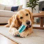 Mordedor Dental para Perros – Juguete Limpiador de Dientes con Doble Textura