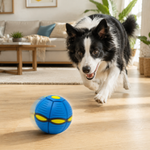 Pelota Voladora Transformable para Perros – Disco y Pelota 2 en 1