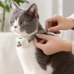Collar Láser Interactivo para Gatos – Juego y Ejercicio Automático