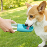 Botella Portátil con Filtro para Mascotas 380 ml – Agua Fresca en Cualquier Lugar