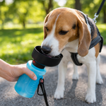 Botella de Agua Plegable 650 ml – Diseño Todo en Uno para Mascotas