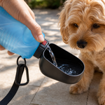 Botella de Agua Plegable 650 ml – Diseño Todo en Uno para Mascotas