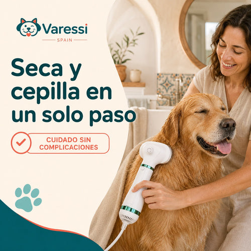Publicación de Instagram