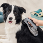Aspirador de Mascotas Inalámbrico – Potente y Portátil