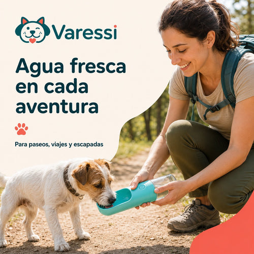 Publicación de Instagram